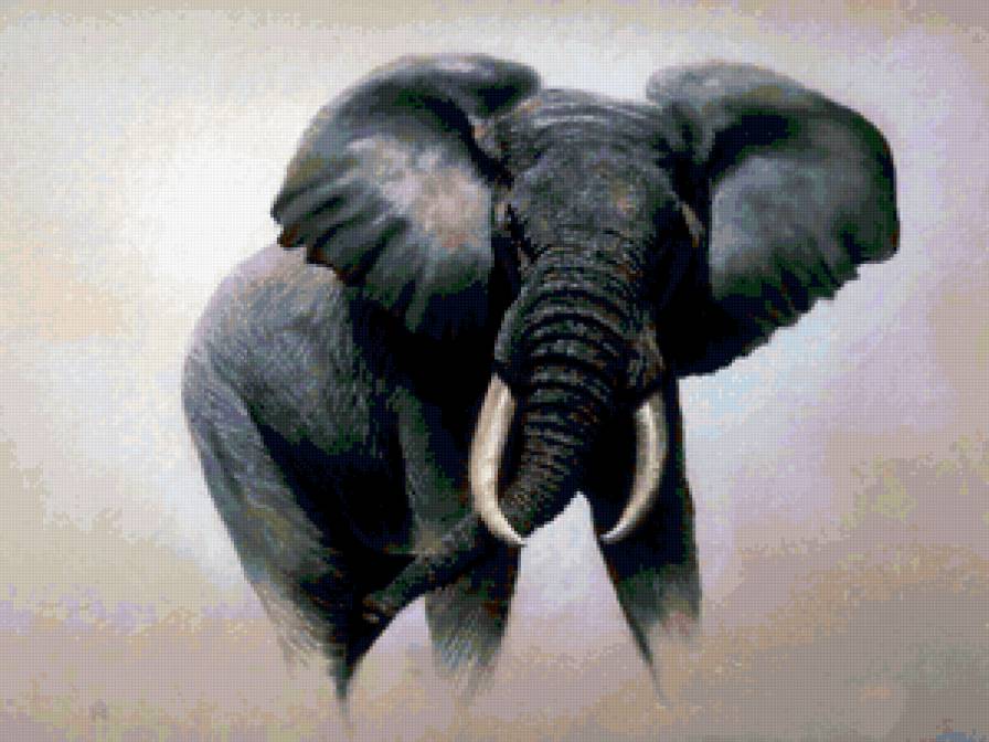 Слон - слон - предпросмотр