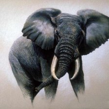 Схема вышивки «Слон»