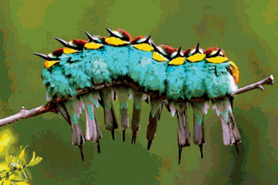 Птичка дружат - птицы - предпросмотр