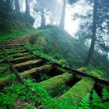 Схема вышивки «поросшая дорога»