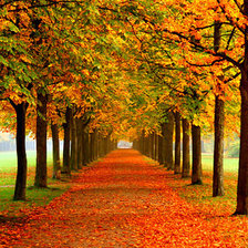 Схема вышивки «золотая осень»