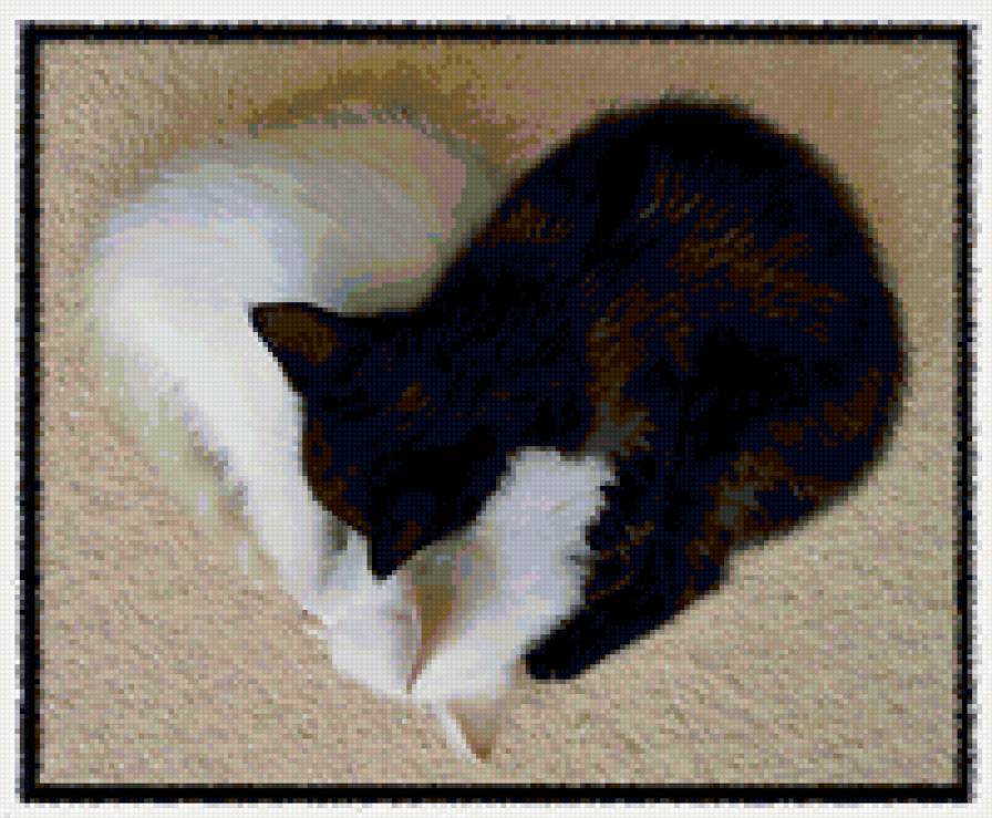 КОШКИ - домашние любимцы - предпросмотр