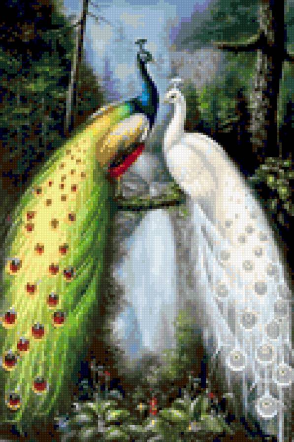 Птицы - предпросмотр