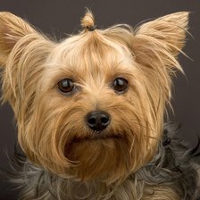 Схема вышивки «№332226»