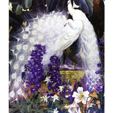 Схема вышивки «Птицы»