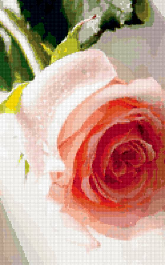 №332230 - роза - предпросмотр