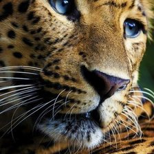 Схема вышивки «№332232»