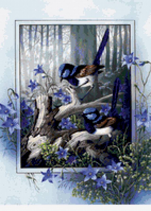 Птицы - предпросмотр