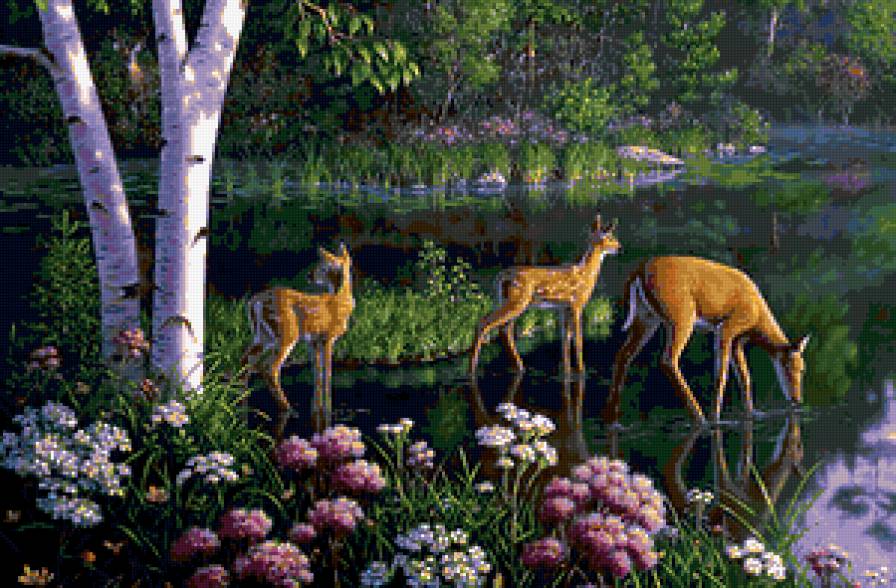 Водопой - предпросмотр