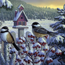 Схема вышивки «Синички»