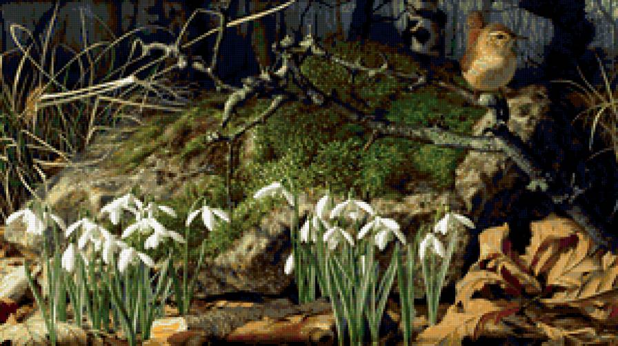 Подснежники - предпросмотр