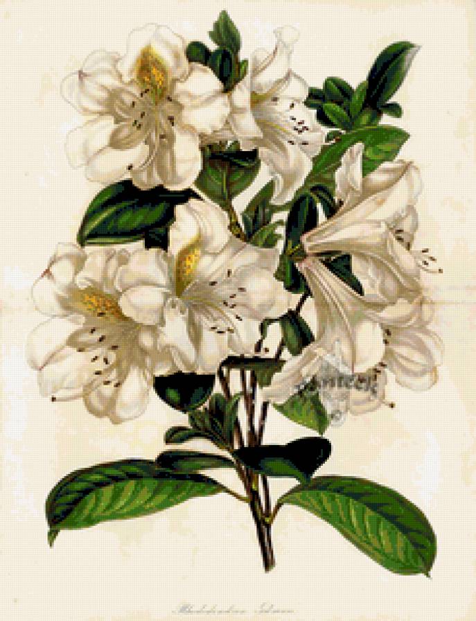 №332432 - предпросмотр