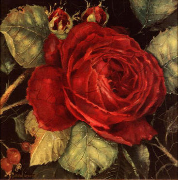 Красная роза - цветы - оригинал