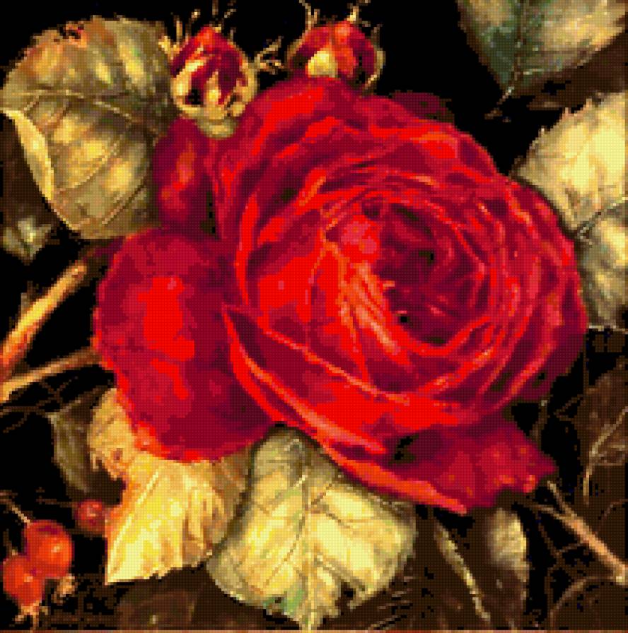 Красная роза - цветы - предпросмотр