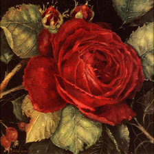 Оригинал схемы вышивки «Красная роза» (№332436)