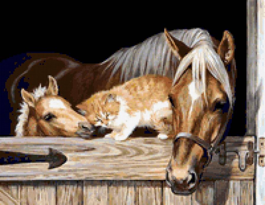 Друзья - предпросмотр