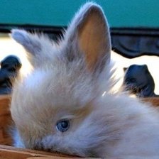 Схема вышивки «стесняюсь»