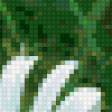 Предпросмотр схемы вышивки «ромашки» (№332544)