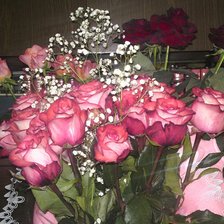 Схема вышивки «розы»