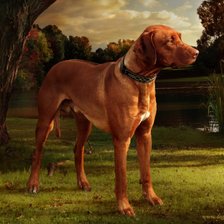 Схема вышивки «№332558»