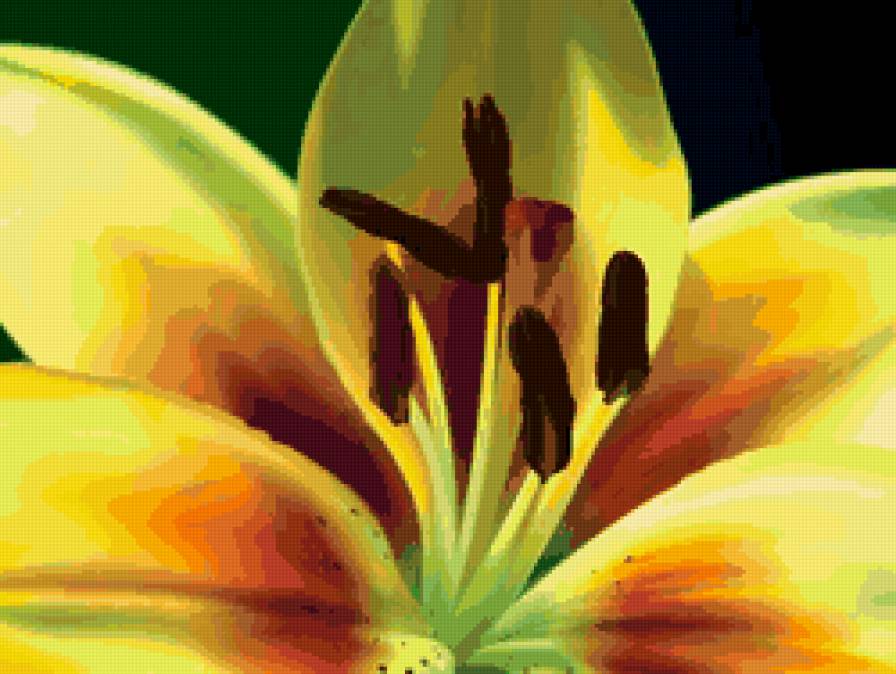 лилия - цветок, лилия, макро, лепестки - предпросмотр