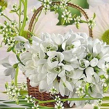 Схема вышивки «№332835»