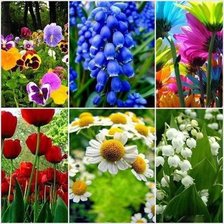 Схема вышивки «№332837»