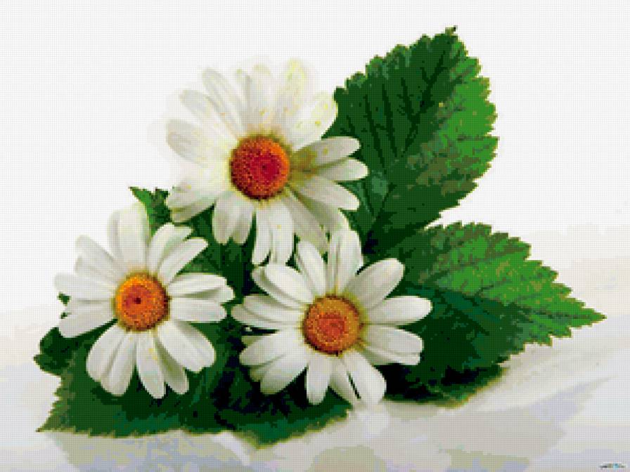 №332839 - предпросмотр