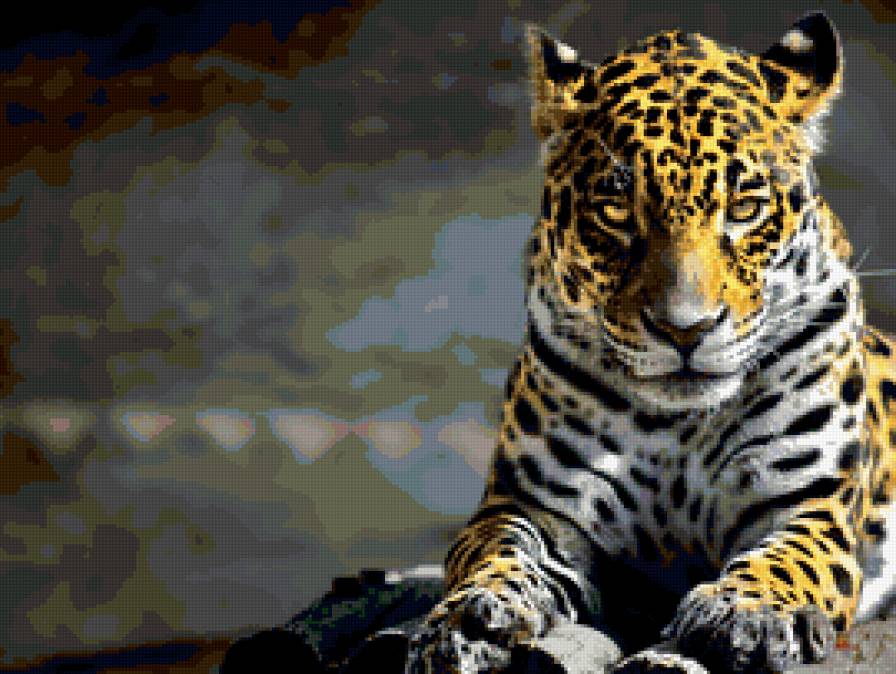 леопард 3 - предпросмотр