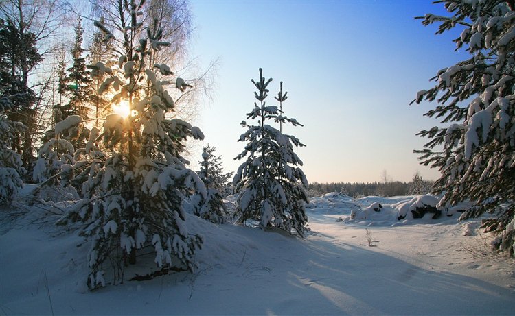 зима - оригинал