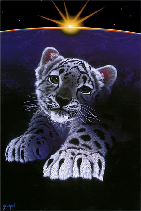 тигр - оригинал