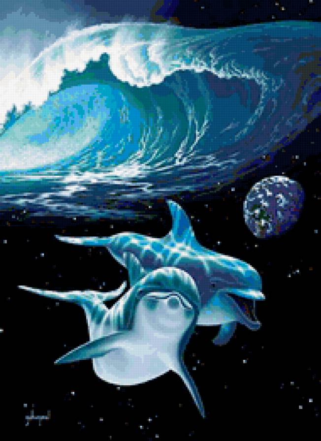 дельфины - предпросмотр