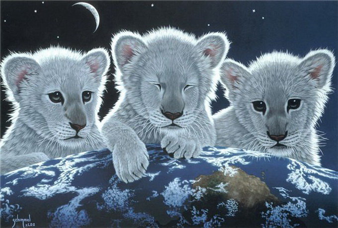 тигрята - оригинал