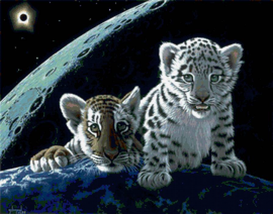 тигрята - предпросмотр