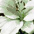 Предпросмотр схемы вышивки «лилии» (№332905)