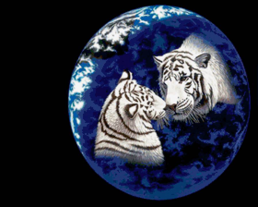 тигры - предпросмотр