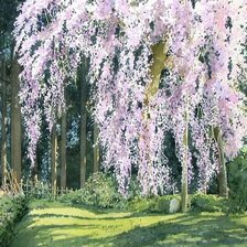 Оригинал схемы вышивки «природа» (№332944)