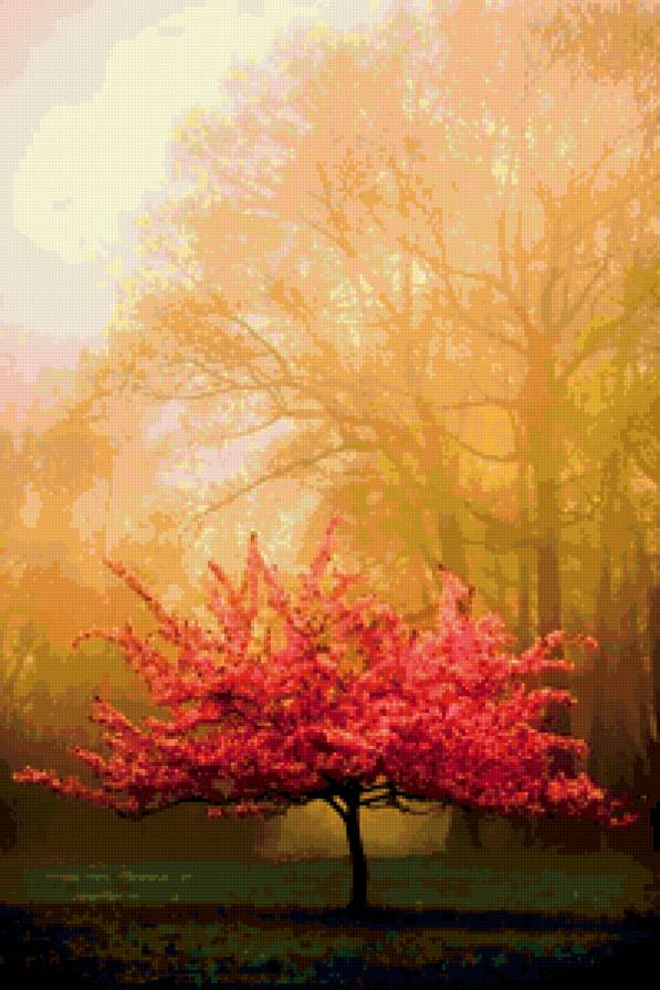 Цветущее дерево - цветы, природа, дерево - предпросмотр