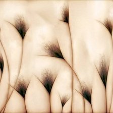 Схема вышивки «Метелки»