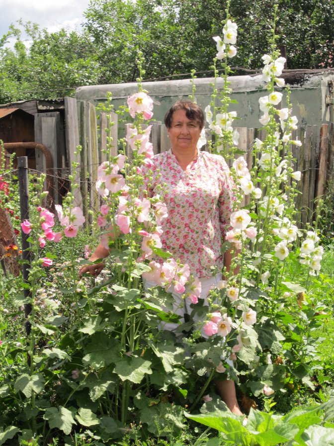 Лето - лето - оригинал