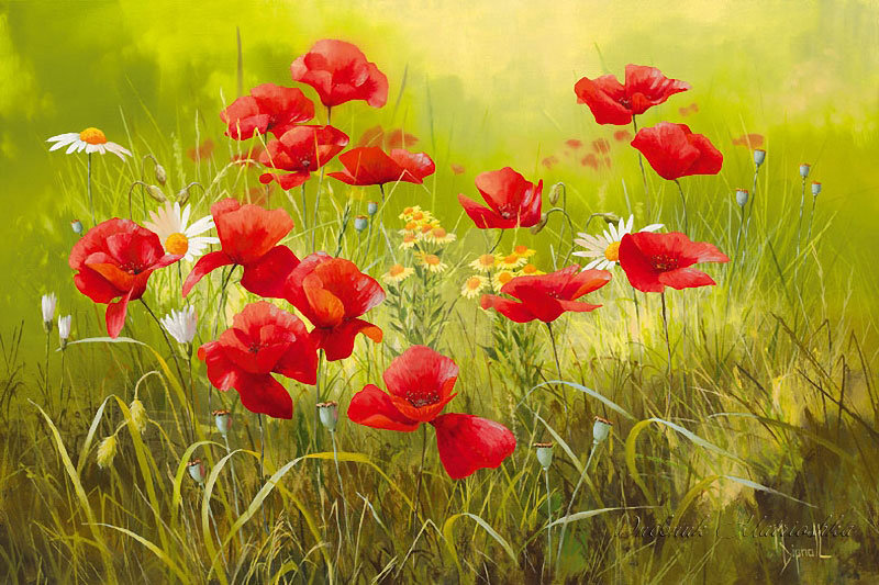 луговые цветы - оригинал