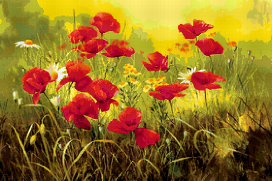 луговые цветы - предпросмотр