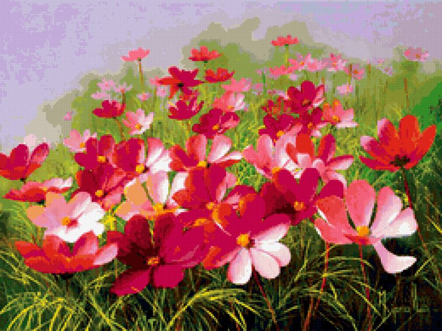 луговые цветы - предпросмотр