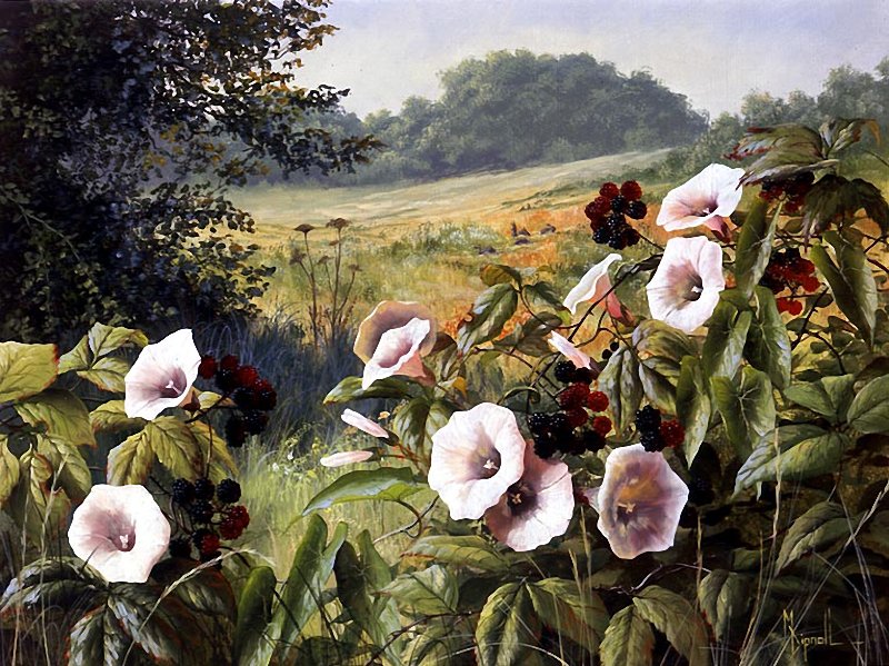 луговые цветы - оригинал