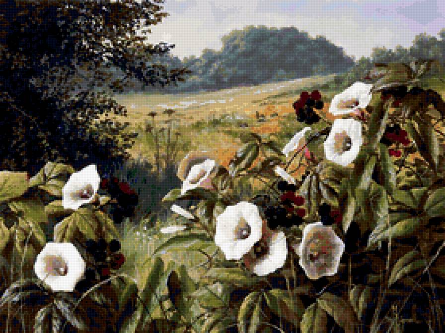 луговые цветы - предпросмотр