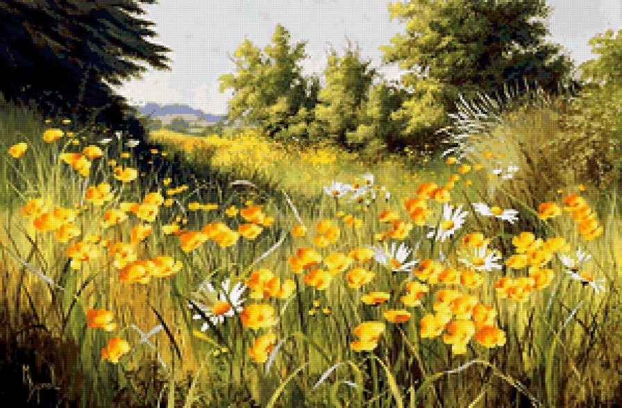 луговые цветы - предпросмотр