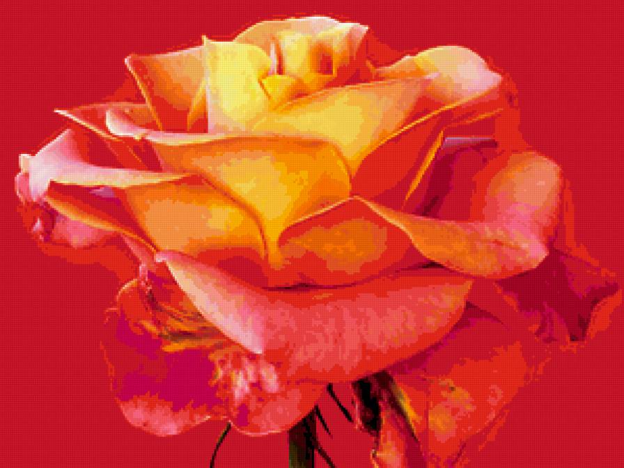 №333089 - предпросмотр