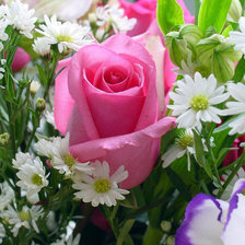 Схема вышивки «№333101»