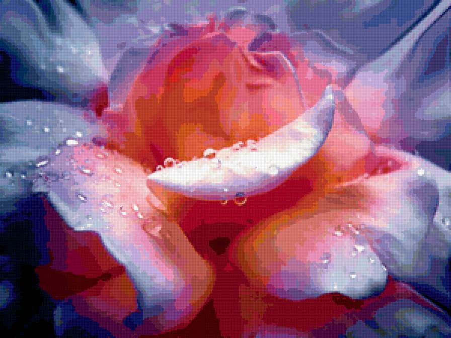 №333105 - предпросмотр