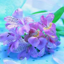 Схема вышивки «№333107»